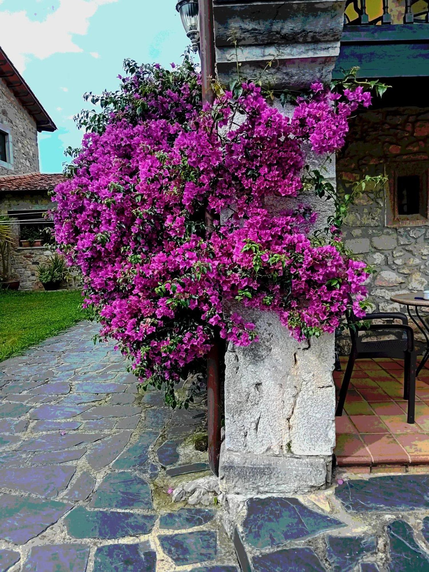 Vila Gran Pedroso De Llanes Exteriér fotografie